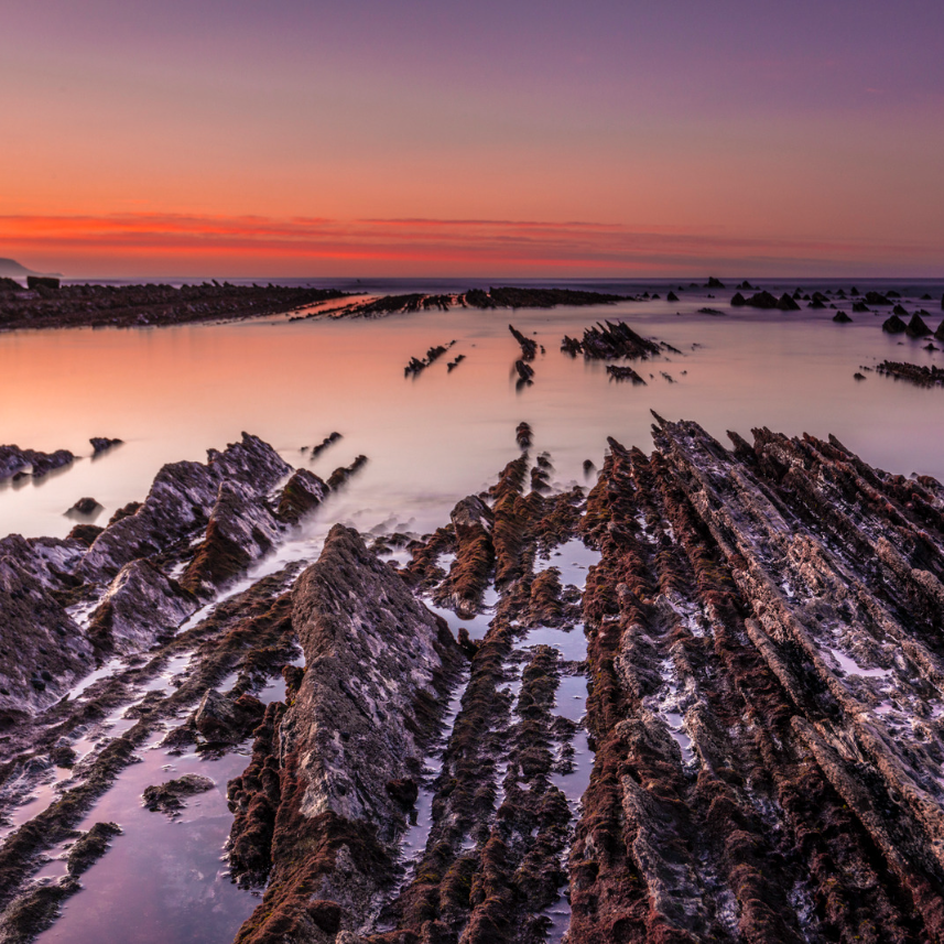 flysch flysch