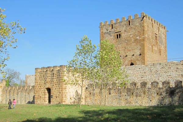 castillo de muñatones